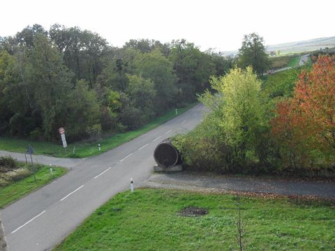 Foto 22